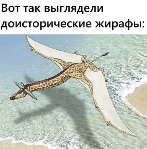 Смешная картинка №656094
