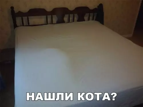 Смешная картинка №177343