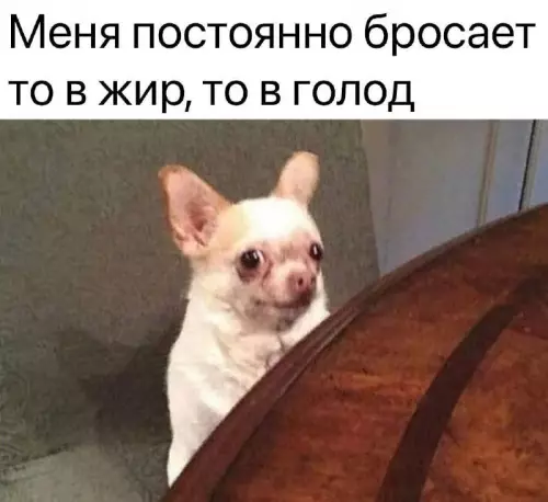 Смешная картинка №731884