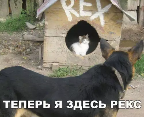 Смешная картинка №251099