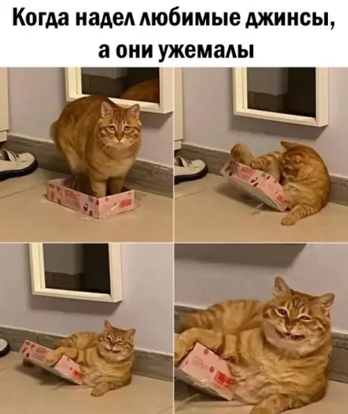 Смешная картинка №668952