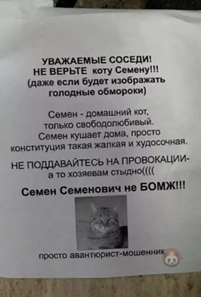 Смешная картинка №470445 Актер, достойный Оскара