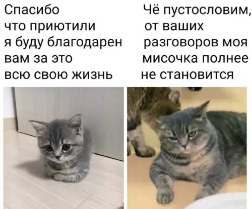 Смешная картинка №760700