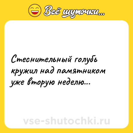 Шутка: Стеснительный голубь кружил над памятником уже вторую неделю...