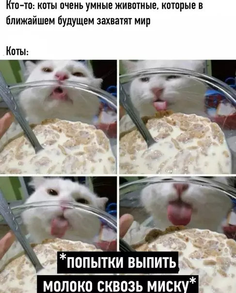 Смешная картинка №491858
