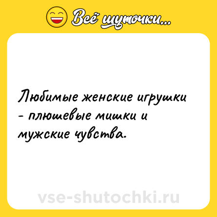 Шутка: Любимые женские игрушки - плюшевые мишки и мужские чувства.
