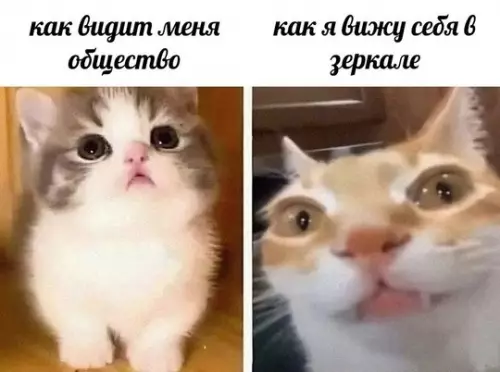 Смешная картинка №758773