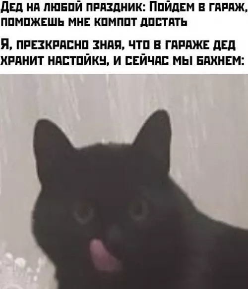 Смешная картинка №493809
