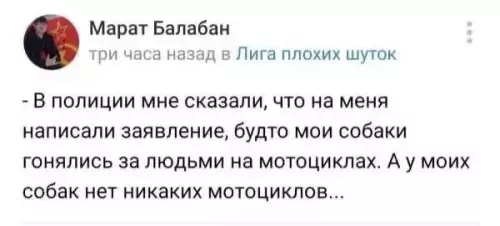 Собаки-байкеры вышли на охоту! 🏍️🐶 - - В полиции мне сказали, что на меня написали заявление,