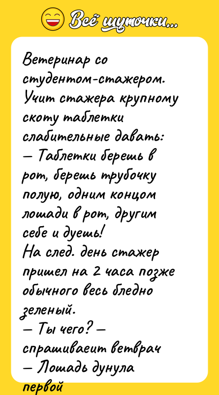 Ветеринар со студентом-стажером. Учит стажера крупному скоту таблетки слабительные давать:
