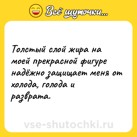 Шутка: Толстый слой жира на моей прекрасной фигуре надёжно защищает меня от холода, голода и разврата.