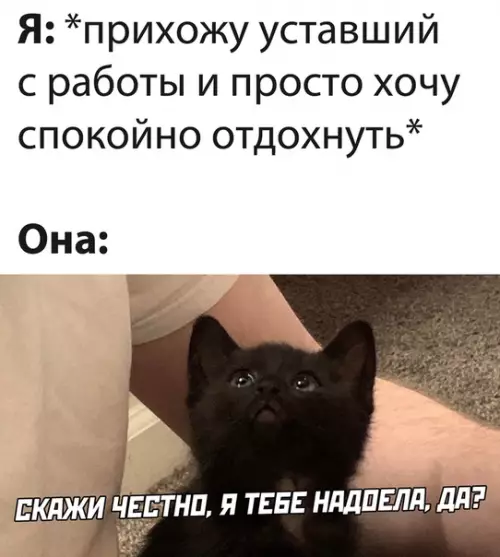 Смешная картинка №526966