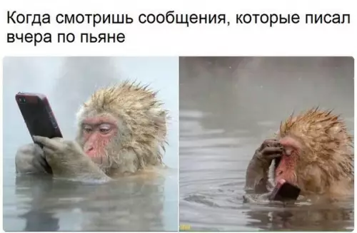 Смешная картинка №260489