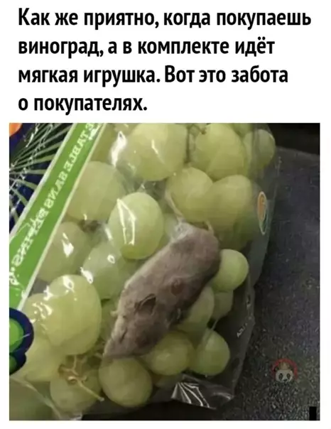 Смешная картинка №538872 Да это же кишь-мышь!