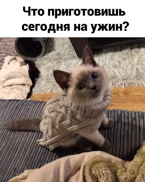 Смешная картинка №542175
