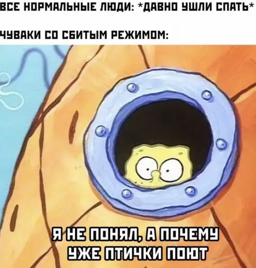 Смешная картинка №494515