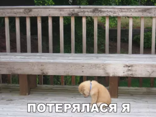 Смешная картинка №184486