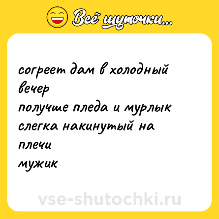 Шутка: согреет дам в холодный вечер<br>получше пледа и мурлык<br>слегка накинутый на плечи<br>мужик