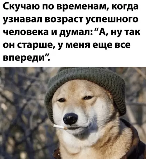 Смешная картинка №511370