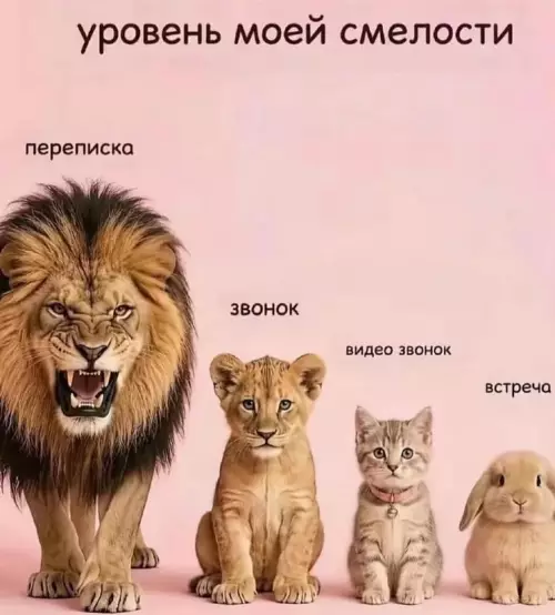 Твой уровень смелости сегодня 🦁 - уровень моей смелости переписка звонок видео звонок встреча