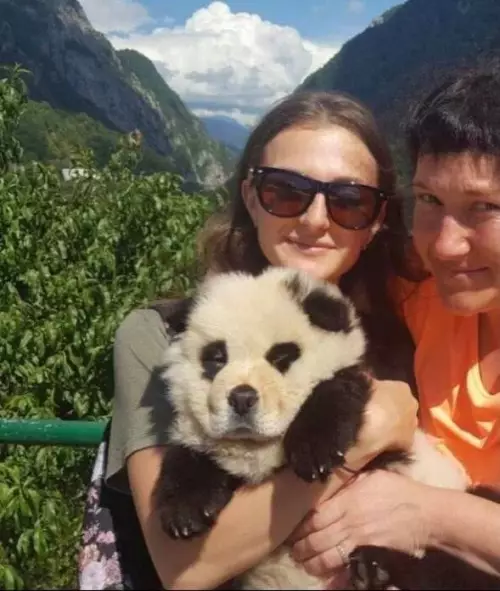 продолжение Смешная картинка №798825