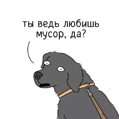 продолжение Смешная картинка №765405