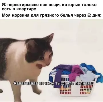 Смешная картинка №724099