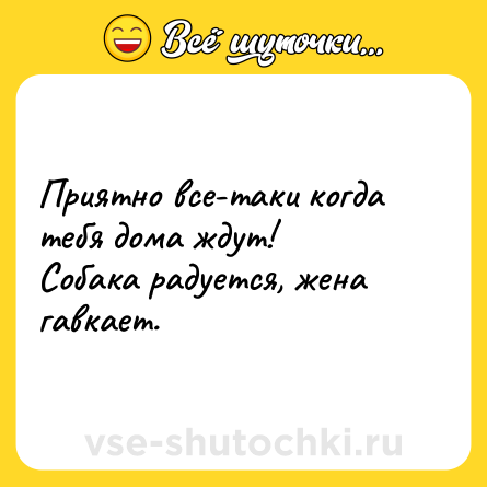 Шутка: Приятно все-таки когда тебя дома ждут!<br>Собака радуется, жена гавкает.
