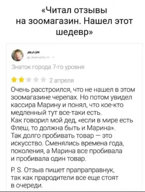 Марина и вечность: когда кассир — настоящий мастер 🐢 - Читал отзывы на зоомагазин. Нашел этот шедевр. Знаток города 7-го