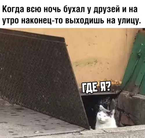 Смешная картинка №349100
