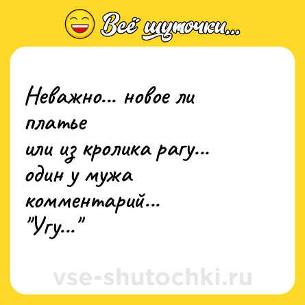 Шутка: Неважно... новое ли платье или из кролика рагу... один у мужа комментарий... Угу...