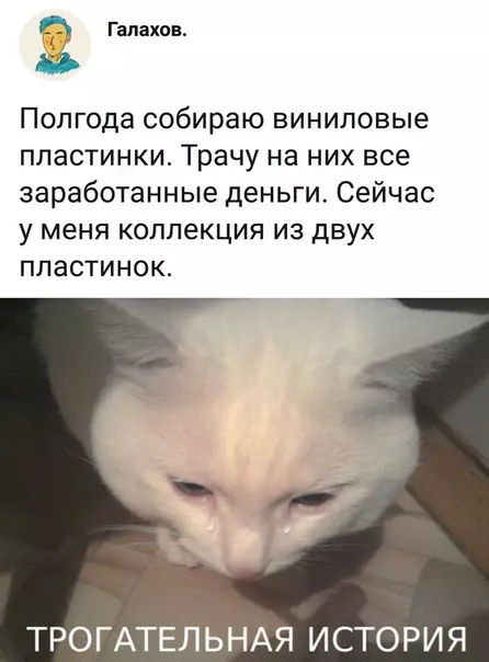 Смешная картинка №338564