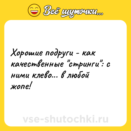 Шутка: Хорошие подруги - как качественные 