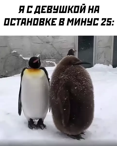 Смешная картинка №608634