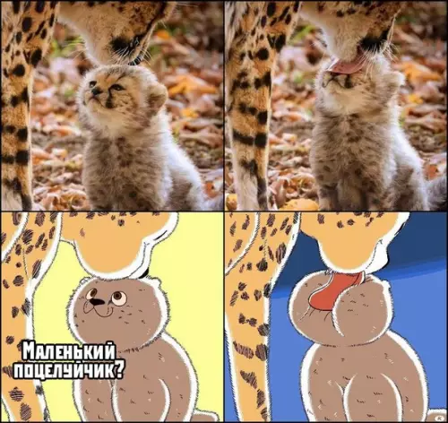 Смешная картинка №395713