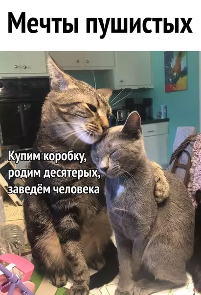 Смешная картинка №505173 И - идеально