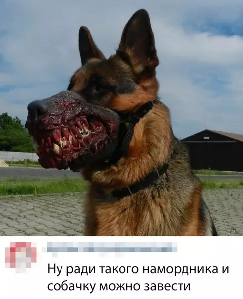 Смешная картинка №359233