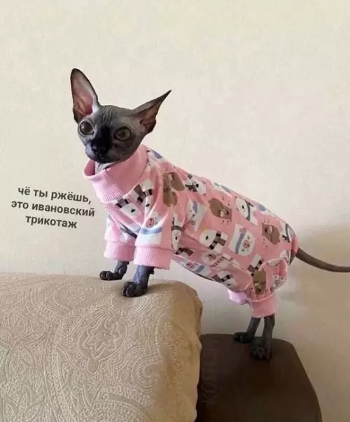 Смешная картинка №770092