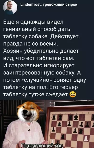 Смешная картинка №438561