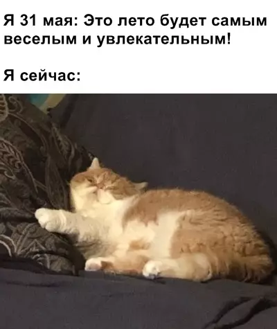 Смешная картинка №364030