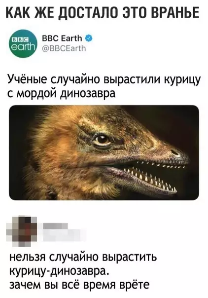 Смешная картинка №354690