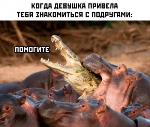 Смешная картинка №682454