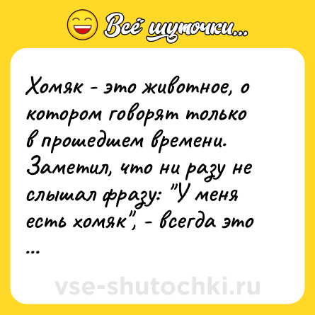 Шутка: Хомяк - это животное, о котором говорят только в прошедшем времени. Заметил, что ни разу не слышал фразу: "У меня есть хомяк", - всегда это - "У меня был хомяк".
