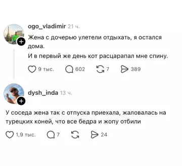 Отпускные истории: коты против турецких коней 🐎 - ogo vladimir: Жена с дочерью улетели отдыхать, я остался дома.