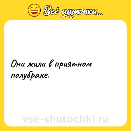 Шутка: Они жили в приятном полубраке.