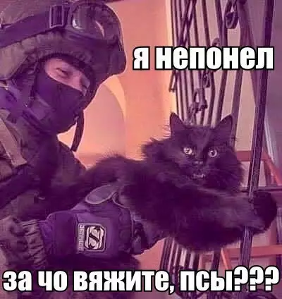 Смешная картинка №238206