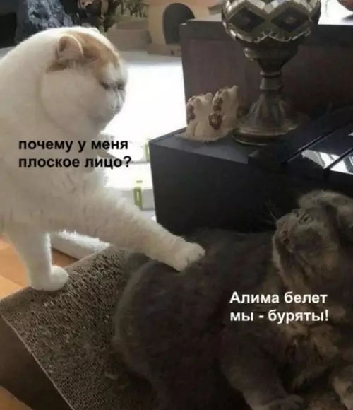 Смешная картинка №688968