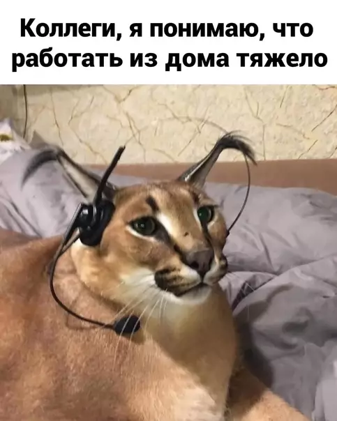 Смешная картинка №571671