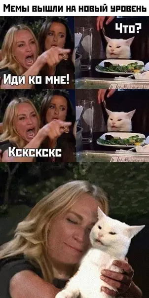 Смешная картинка №421986 Мем женщины и кот