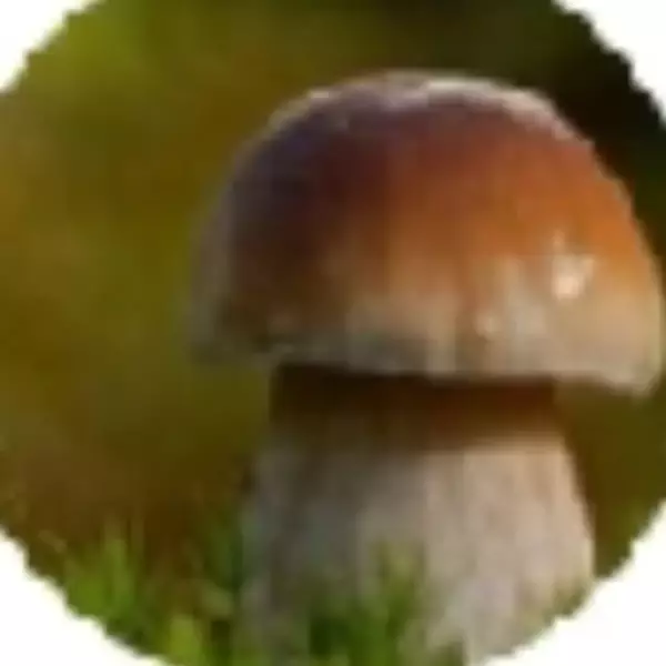 Изображение: хаха! :))